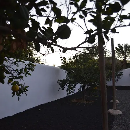 Monica By Mirador De Sotavento Cardon